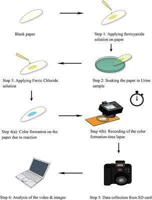 Developing Paper Based Diagnostic Technique to Detect Uric Acid in Urine